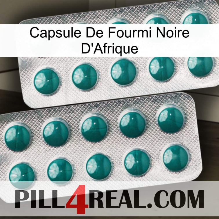 Africa Black Ant Capsule dapoxetine2